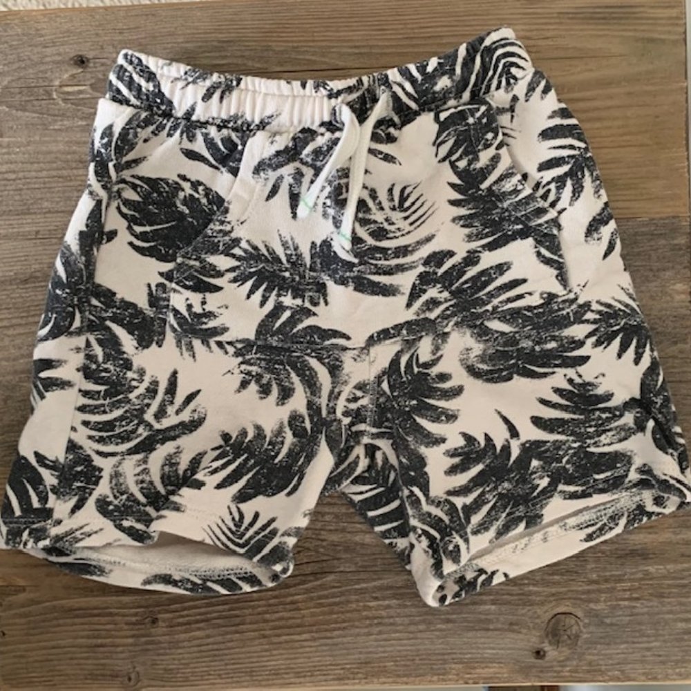 Zara Palm Tree Shorts Boys 3-4